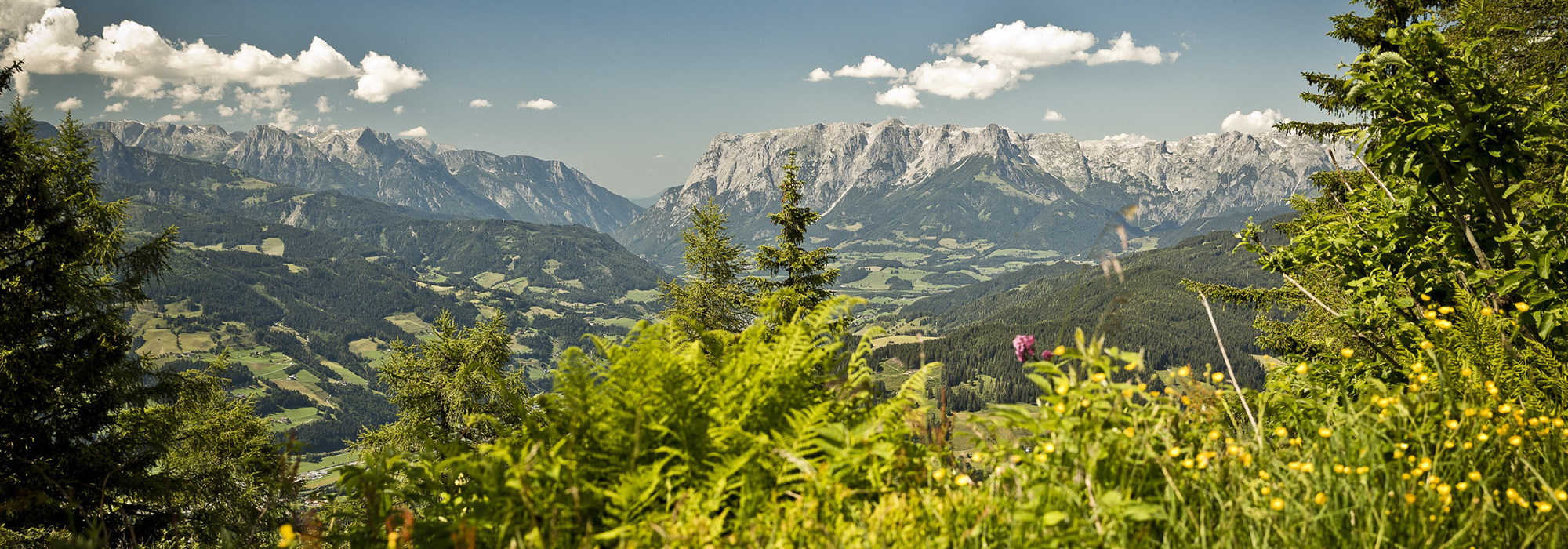 Panoramablick über das Salzachtal